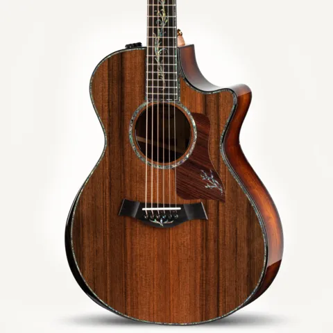 Acoustic Guitars | Taylor Guitars